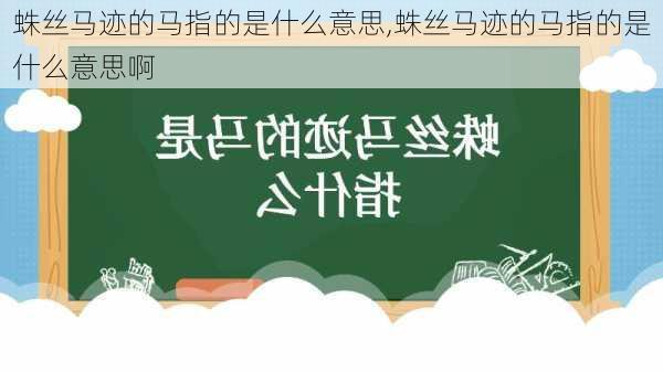 蛛丝马迹的马指的是什么意思,蛛丝马迹的马指的是什么意思啊