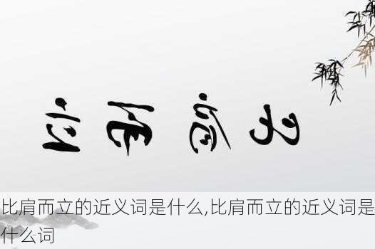 比肩而立的近义词是什么,比肩而立的近义词是什么词