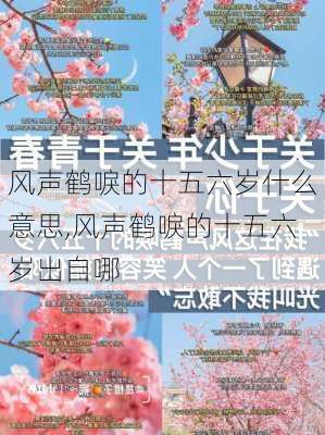 风声鹤唳的十五六岁什么意思,风声鹤唳的十五六岁出自哪