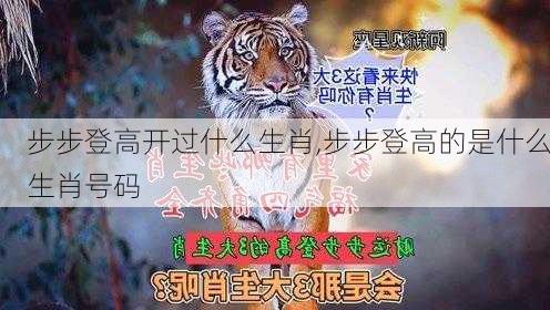 步步登高开过什么生肖,步步登高的是什么生肖号码