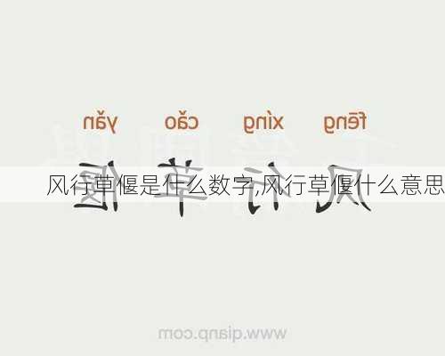 风行草偃是什么数字,风行草偃什么意思