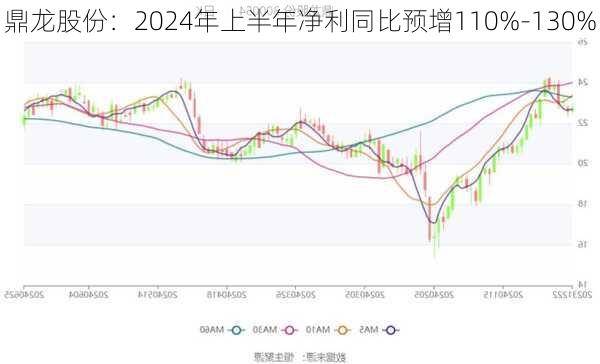 鼎龙股份：2024年上半年净利同比预增110%-130%