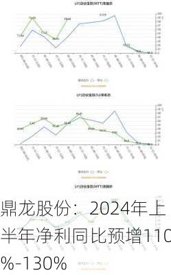 鼎龙股份：2024年上半年净利同比预增110%-130%