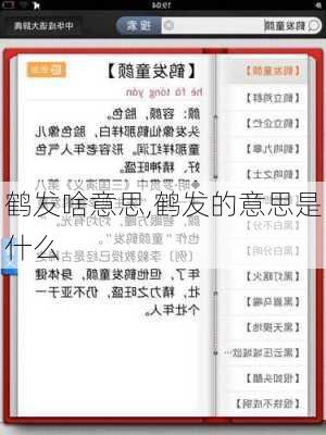 鹤发啥意思,鹤发的意思是什么