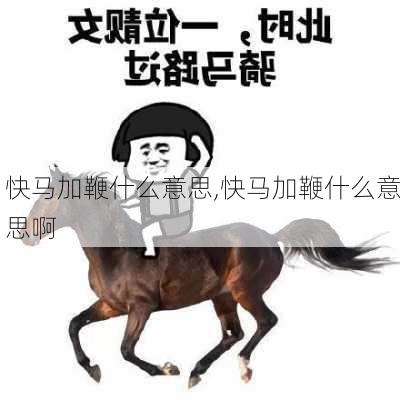 快马加鞭什么意思,快马加鞭什么意思啊