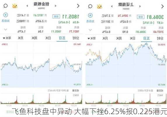 飞鱼科技盘中异动 大幅下挫6.25%报0.225港元