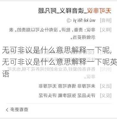 无可非议是什么意思解释一下呢,无可非议是什么意思解释一下呢英语