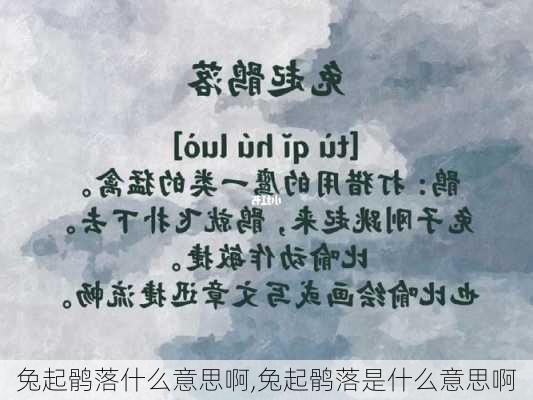 兔起鹘落什么意思啊,兔起鹘落是什么意思啊