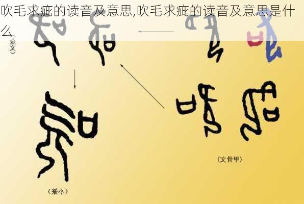 吹毛求疵的读音及意思,吹毛求疵的读音及意思是什么