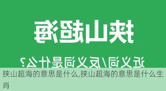 挟山超海的意思是什么,挟山超海的意思是什么生肖