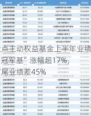 盘点主动权益基金上半年业绩|“冠军基”涨幅超17%，首尾业绩差45%