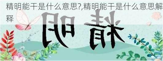 精明能干是什么意思?,精明能干是什么意思解释