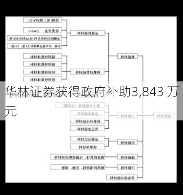 华林证券获得政府补助3,843 万元