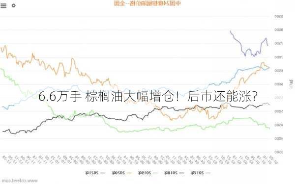 6.6万手 棕榈油大幅增仓！后市还能涨？