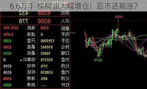 6.6万手 棕榈油大幅增仓！后市还能涨？