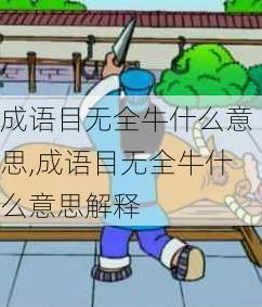 成语目无全牛什么意思,成语目无全牛什么意思解释