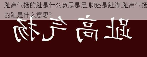 趾高气扬的趾是什么意思是足,脚还是趾脚,趾高气扬的趾是什么意思?