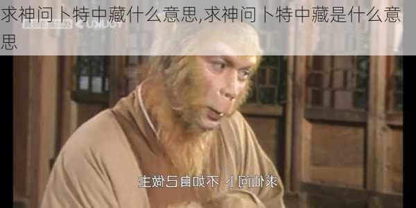 求神问卜特中藏什么意思,求神问卜特中藏是什么意思