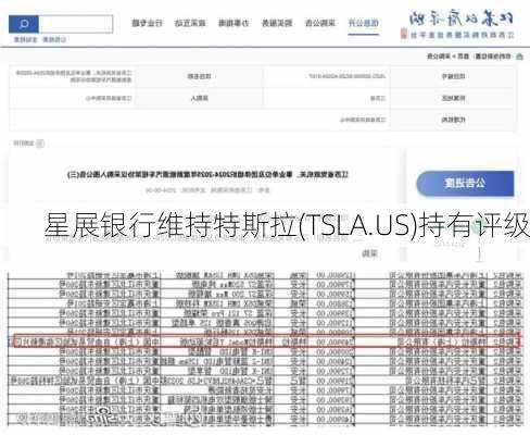 星展银行维持特斯拉(TSLA.US)持有评级