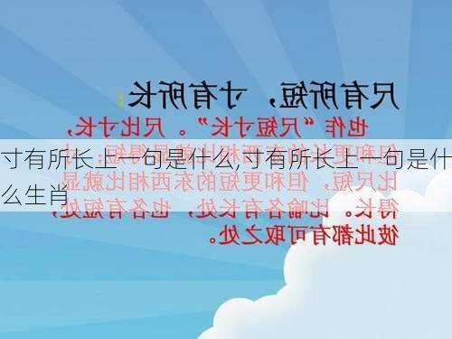 寸有所长上一句是什么,寸有所长上一句是什么生肖