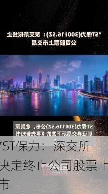 *ST保力：深交所决定终止公司股票上市