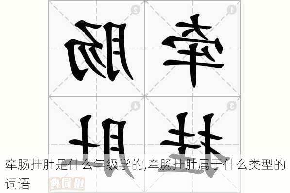 牵肠挂肚是什么年级学的,牵肠挂肚属于什么类型的词语