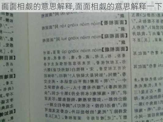 面面相觑的意思解释,面面相觑的意思解释一下