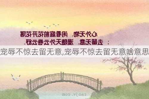 宠辱不惊去留无意,宠辱不惊去留无意啥意思