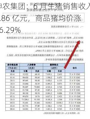 神农集团：6 月生猪销售收入 4.86 亿元，商品猪均价涨 16.29%