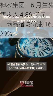 神农集团：6 月生猪销售收入 4.86 亿元，商品猪均价涨 16.29%