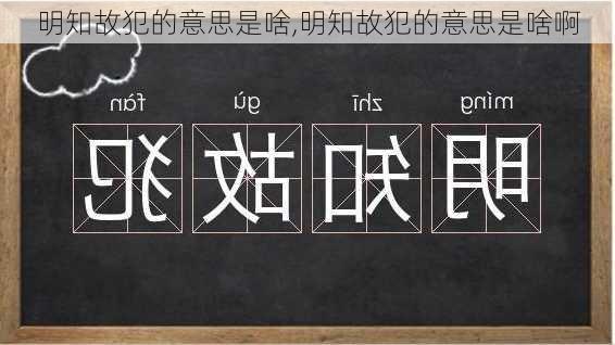 明知故犯的意思是啥,明知故犯的意思是啥啊