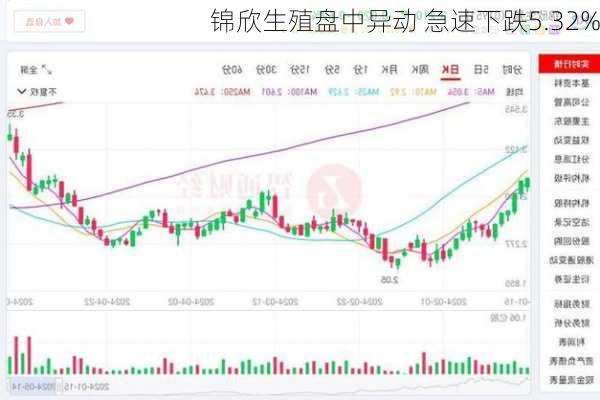 锦欣生殖盘中异动 急速下跌5.32%