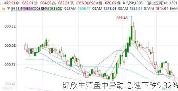 锦欣生殖盘中异动 急速下跌5.32%