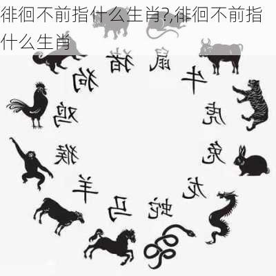 徘徊不前指什么生肖?,徘徊不前指什么生肖