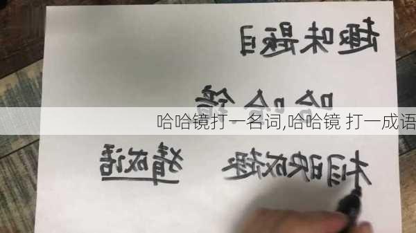 哈哈镜打一名词,哈哈镜 打一成语