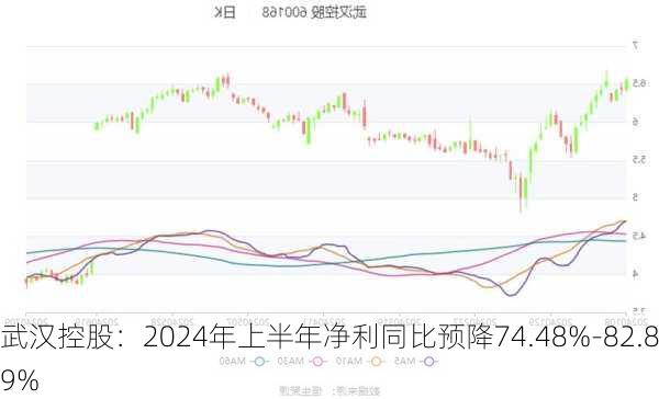 武汉控股：2024年上半年净利同比预降74.48%-82.89%