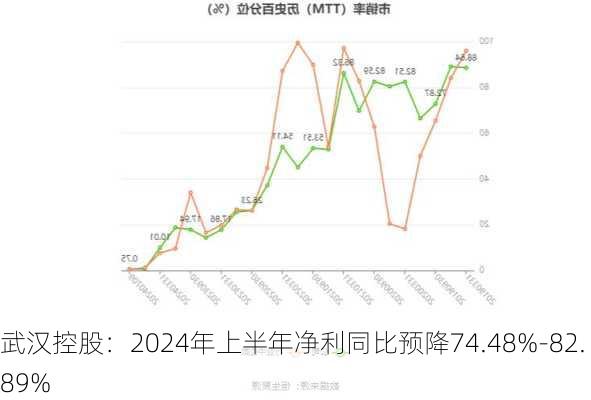 武汉控股：2024年上半年净利同比预降74.48%-82.89%