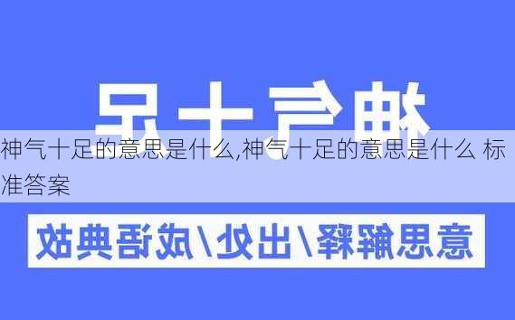 神气十足的意思是什么,神气十足的意思是什么 标准答案