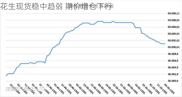 花生现货稳中趋弱 期价增仓下行