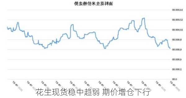 花生现货稳中趋弱 期价增仓下行