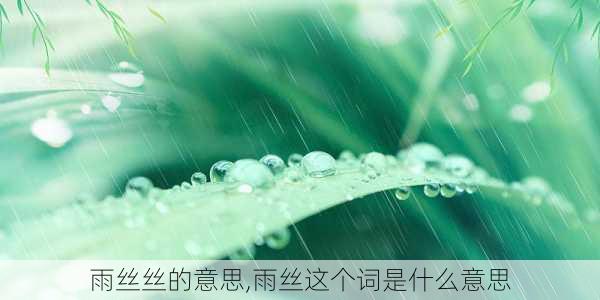 雨丝丝的意思,雨丝这个词是什么意思