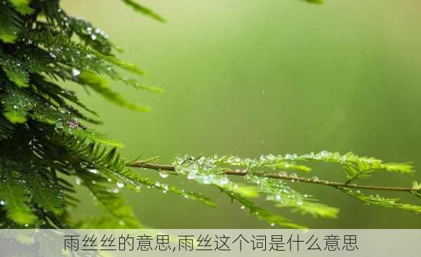 雨丝丝的意思,雨丝这个词是什么意思