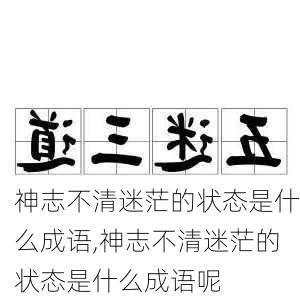 神志不清迷茫的状态是什么成语,神志不清迷茫的状态是什么成语呢