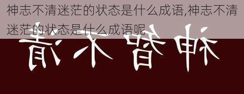 神志不清迷茫的状态是什么成语,神志不清迷茫的状态是什么成语呢