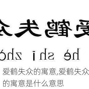 爱鹤失众的寓意,爱鹤失众的寓意是什么意思