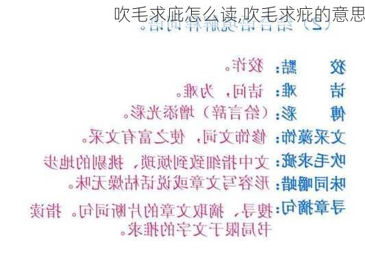 吹毛求庛怎么读,吹毛求疪的意思