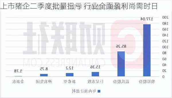 上市猪企二季度批量扭亏 行业全面盈利尚需时日