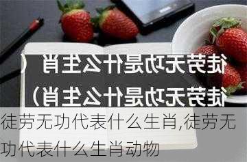 徒劳无功代表什么生肖,徒劳无功代表什么生肖动物