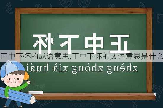 正中下怀的成语意思,正中下怀的成语意思是什么