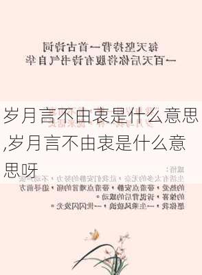 岁月言不由衷是什么意思,岁月言不由衷是什么意思呀